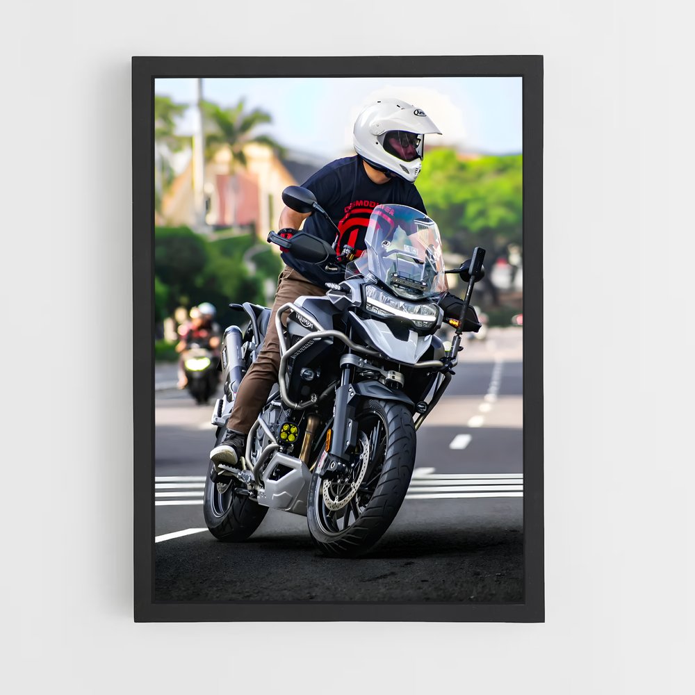 Poster Tigre Époustouflant – affiche Triumph (vue 2)